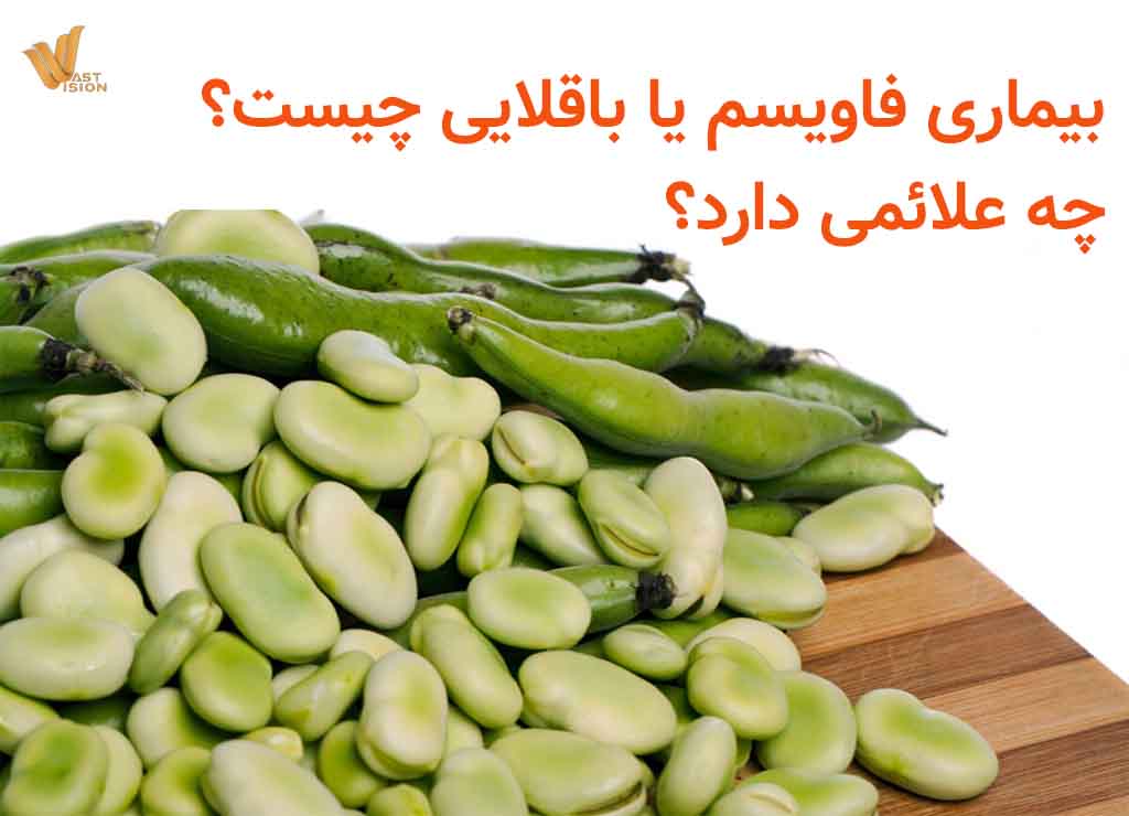 فاویسم یا بیماری باقلایی چیست؟ چه علائمی دارد؟